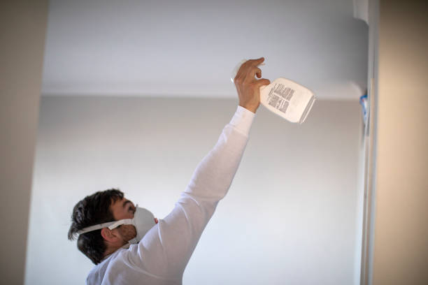Best Industrial Mold Remediation in Tatum, TX