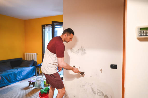 Tatum, TX Mold Remediation Company